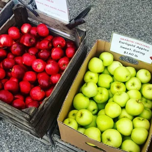 two boxes of apples