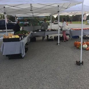 a variety of fruits and vegetables