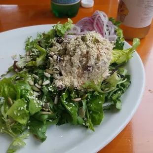 Tuna Salad