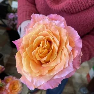 a woman holding a rose in her hand
