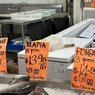 fish for sale