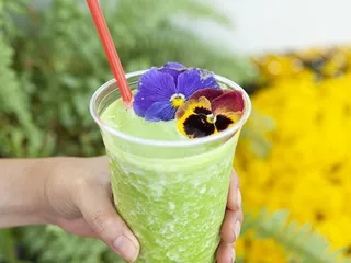 Delilah's Front Porch