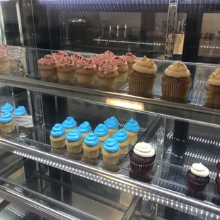 a display of cupcakes