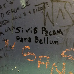 bathroom wall. "Si vis pacem, para Bellum" means if you want peace, expect war in order to get there."