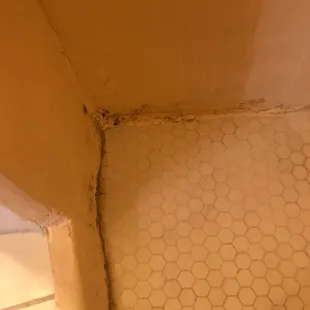 Mold and mildew in shower.