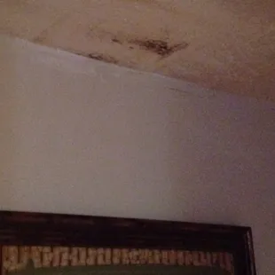 Mildew/stains  in ceiling??!!