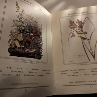 Gorgeously illustrated &quot;Field Guide&quot; menu