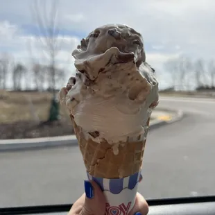 Turtle custard waffle cone!