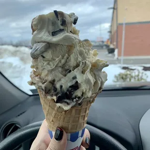 Medium (huge!) Peanut Butter Meltaway custard in a waffle cone yum!!