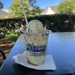 Special Flavor of the Day - Spumoni (pistachio, chocolate chunks, and maraschino cherries)