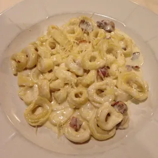 Three Cheese Tortellini with baby shrimp and bacon in a lovely cream sauce. I ate every bite, and then was tempted to lick the plate. Yum!