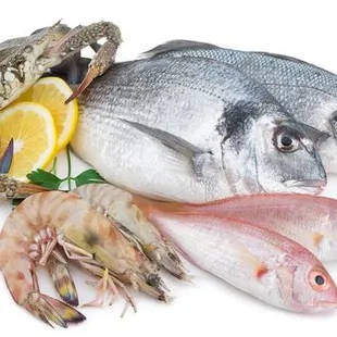 Top quality Fresh and marinated Halal meat, poultry and Fish sold. Terrific deal on wholesale rates available. The Meat Corner, Sunnyvale