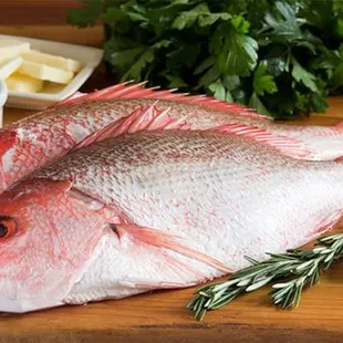 Top quality Fresh and marinated Halal meat, poultry and Fish sold. Terrific deal on wholesale rates available. The Meat Corner, Sunnyvale