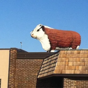 If it has a cow on the roof it&apos;s got to be good!