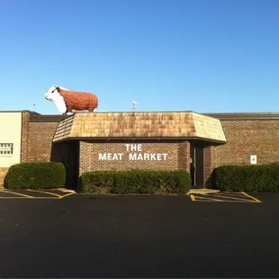 Moo