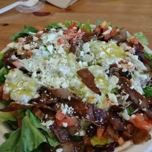 The glorious Nikki Special with gyro meat medium spice and all the fixins