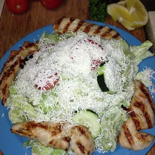 Grilled Chicken Salad