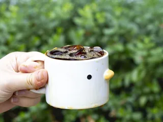 Wild Goose Coffee Roasters