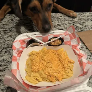 Buffalo Mac n cheese!!   Fried onions and jalapeños!