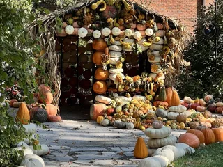 Dixon Gallery & Gardens