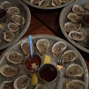 HH oysters