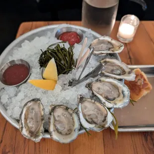 Oysters