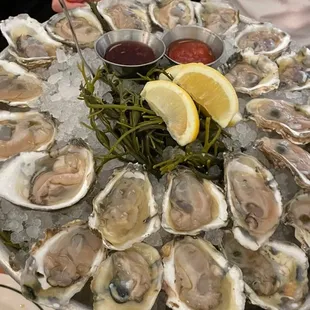 Raw Oysters