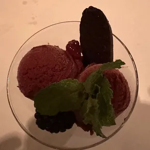 Mixed Berry Sorbet