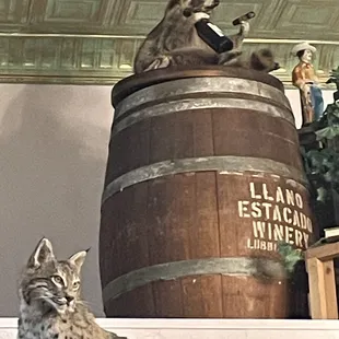 Raccoon enjoying his wine and cigar.