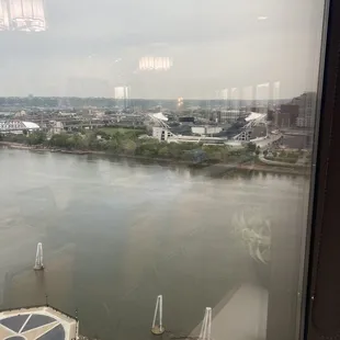 The view