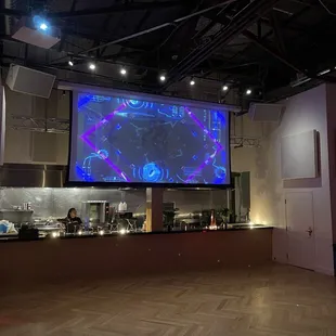 VIP has zero views of the actual concert and a random screen that does not show anything from the venue