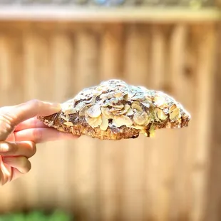 Almond Croissant