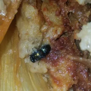 Cooked fly nasty asf