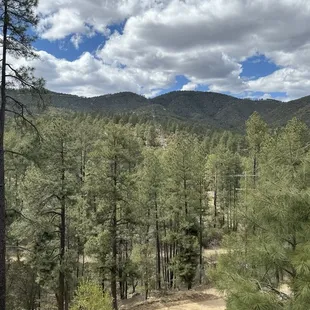 The view from the patio