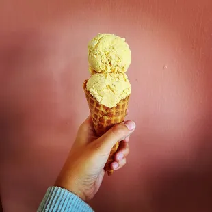 Pumpkin Spice Ice Cream