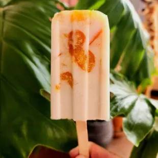 Kumquats and Cream Vegan Ice Cream Bar