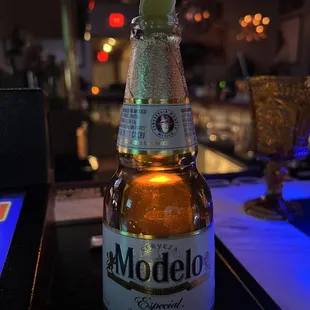 a bottle of modelo