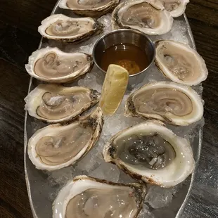 East Coast Oysters