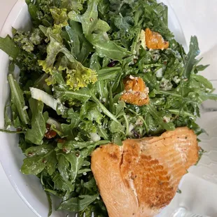 Full Chisaya Mama with Salmon