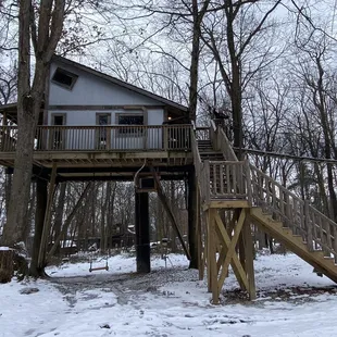 Tin shed treehouse