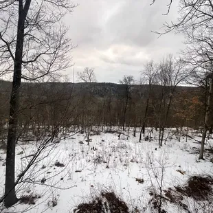 Scenery from white oak