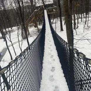 Super fun bridge that ends with a spiral staircase around the tree