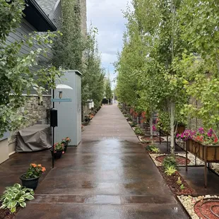 Their beautiful backyard. It is a place to get lost.