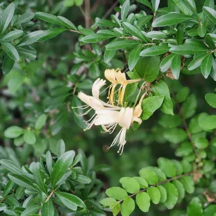 I'll miss this smell. I wish I could have put the scent in a bottle for a keepsake.