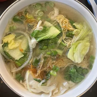 Dumpling noodle soup.