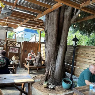 Covered back patio seating.