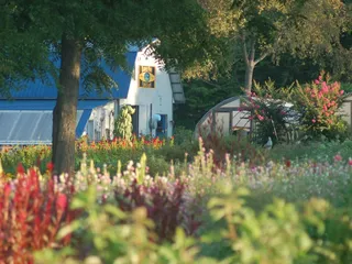 Harvest Moon Flower Farm
