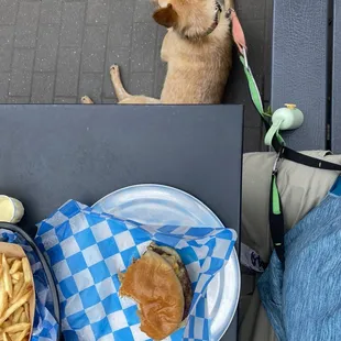 Dog friendly and the grub is good!