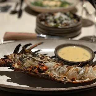 Fresh spiny lobster