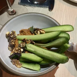Cucumber